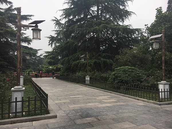 源碼太陽能路燈，太陽能路燈廠家，太陽能路燈價(jià)格