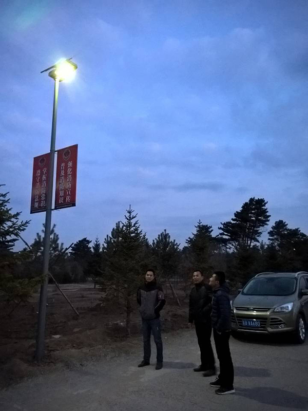 太陽能路燈，太陽能路燈廠家，太陽能路燈價格