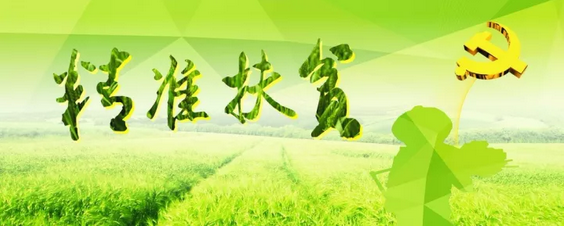 源碼助力來賓精準(zhǔn)扶貧，點(diǎn)亮新寨村幸福之路