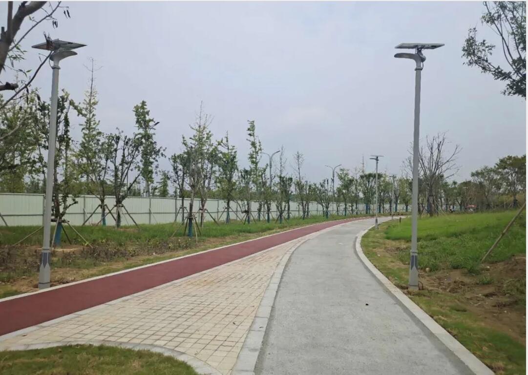 晴空排云雁高飛，源碼項目掀熱潮