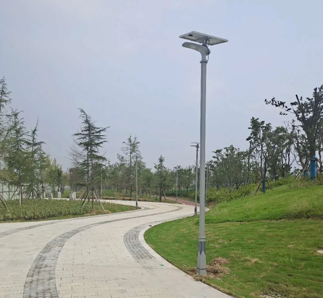 晴空排云雁高飛，源碼項目掀熱潮