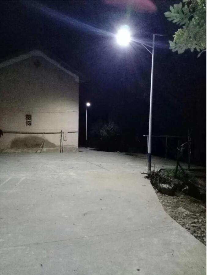 晴空排云雁高飛，源碼項目掀熱潮