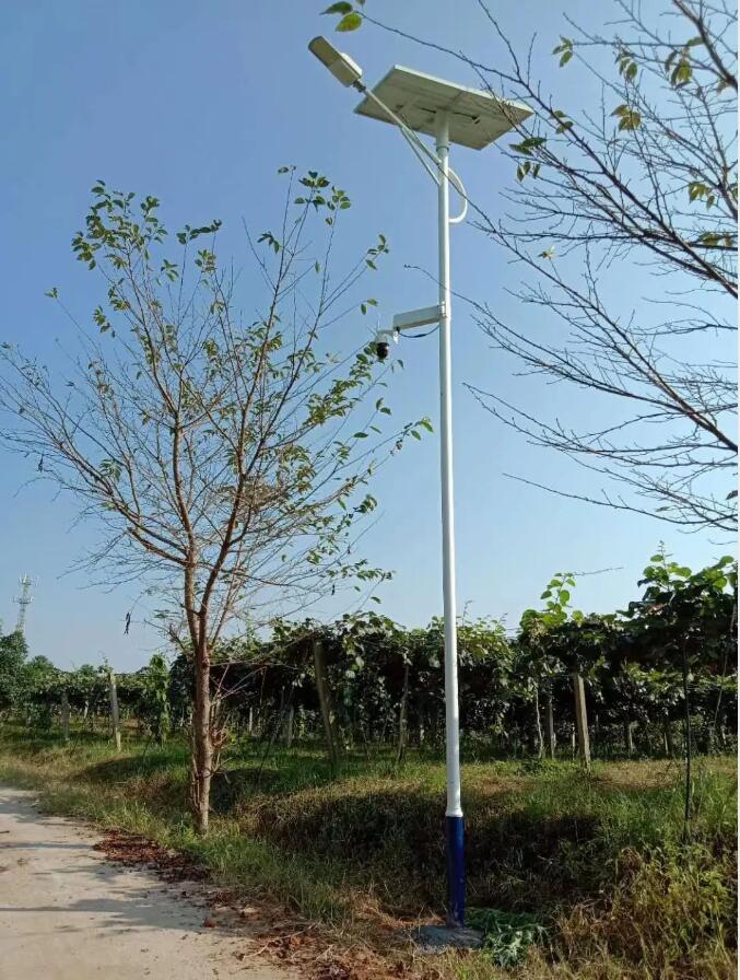 晴空排云雁高飛，源碼項目掀熱潮