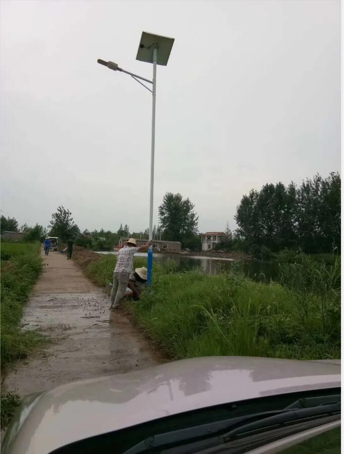 晴空排云雁高飛，源碼項目掀熱潮