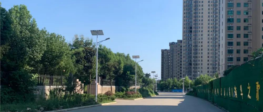云鵬燈〡九萬里風(fēng)安稅駕，云鵬今悔不卑飛