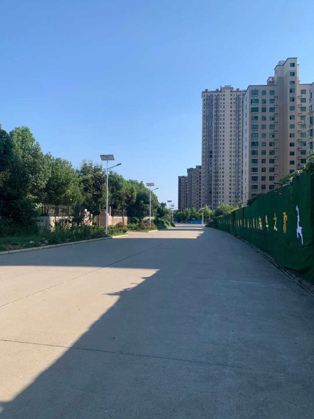 云鵬燈〡九萬里風(fēng)安稅駕，云鵬今悔不卑飛