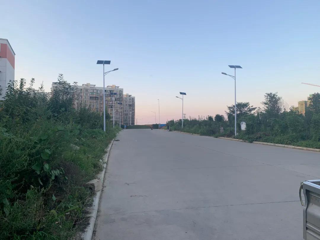 云鵬燈〡九萬里風(fēng)安稅駕，云鵬今悔不卑飛