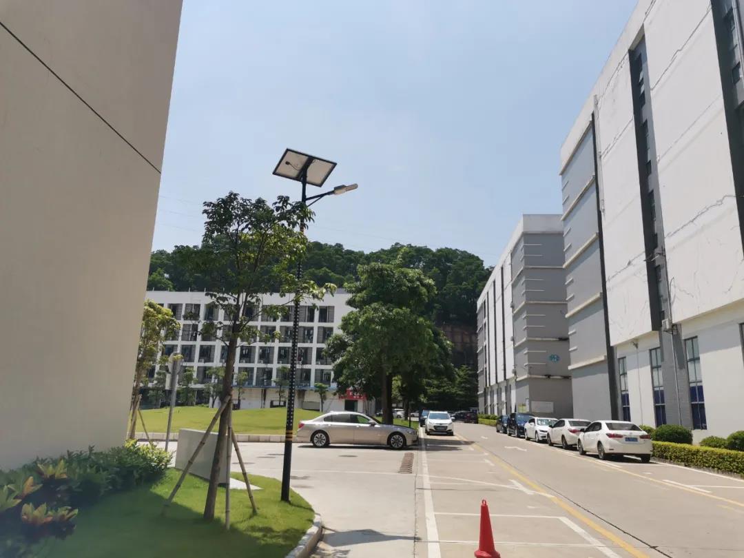 案例賞析〡云雁高飛，助力鄉(xiāng)村振興
