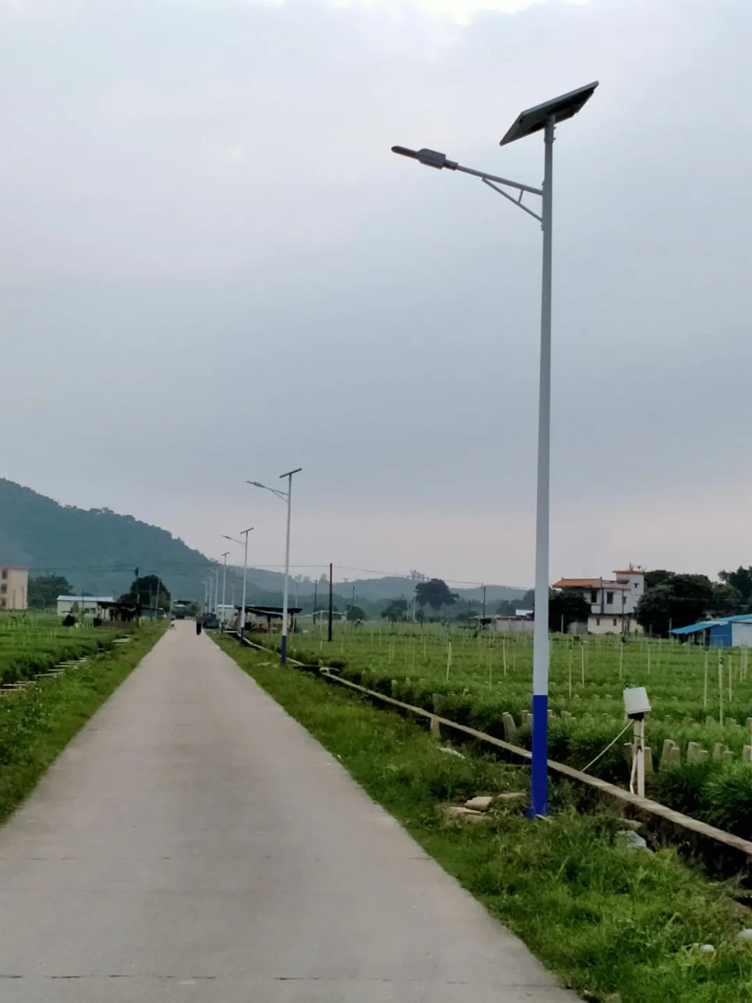 案例賞析〡云雁高飛，助力鄉(xiāng)村振興